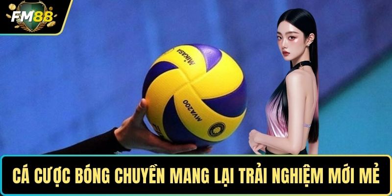 Thể Thao Saba – Sân Chơi Đỉnh Cao Cho Dân Đam Mê Cá Cược 4 Cá cược bóng chuyền mang lại trải nghiệm mới mẻ