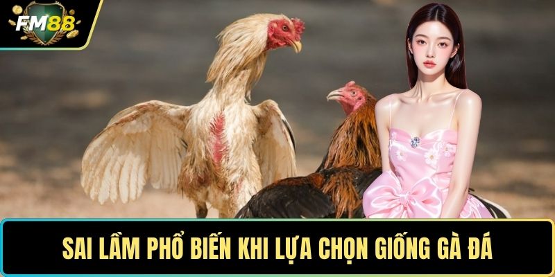 Màu Mạng Gà Đá - Bí Quyết Chọn Chiến Kê Từ Cao Thủ 4 Sai lầm phổ biến khi lựa chọn giống gà đá