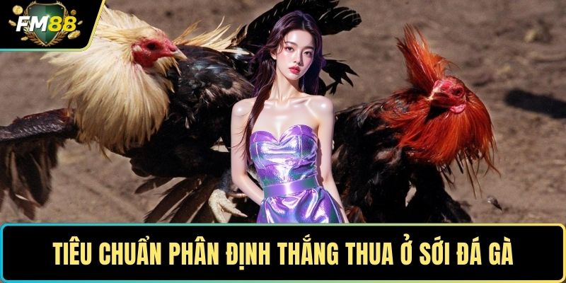 Đá Gà Đòn Thomo – Đấu Trường Huyền Thoại Số 1 Châu Á 4 Tiêu chuẩn phân định thắng thua ở sới đá gà